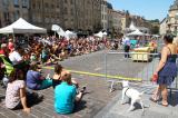 Ma Vie de Grenier 7 * 5184 x 3456 * (8.5MB)